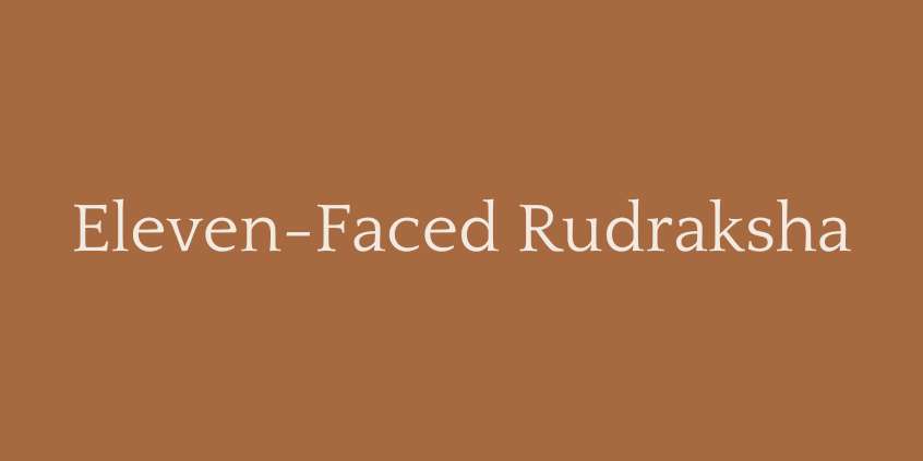 Eleven-Faced Rudraksha (11 Mukhi Rudraksha)